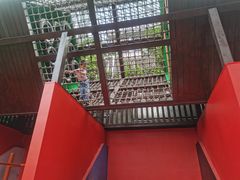 -中国福利会少年宫