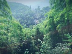 -山沟沟景区