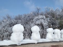 -紫金山山顶公园