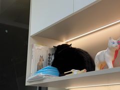 -御宝贝24h宠物医院·转诊中心·CT核磁血透中心(厦门总院)