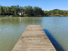 -马家湾湿地公园