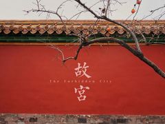 -故宫博物院(故宫)