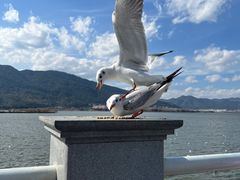 -海埂大坝