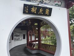 -南汇桃花村