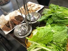 -蘑统田下·野生菌火锅