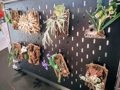 -上海植物园-4号门售票处