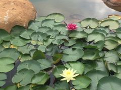 -天河潭旅游度假区