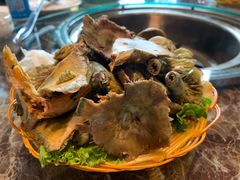 -菌海森林·非遗野生菌火锅(西山区滇池路摩根道店)