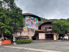 -海南槟榔谷黎苗文化旅游区