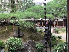 -中村藤吉(本店)