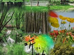 -上海共青森林公园