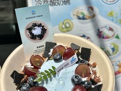 -白色日记·手作酸奶(麦凯乐店)