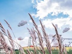 -上海国际音乐村