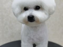 -乐琪宠物(青塔西路店)