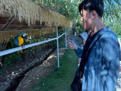 -西霞口神雕山野生动物世界