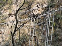 -藏龙百瀑风景区