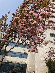 -北京科学中心儿童乐园