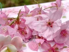 -梁鸿国家湿地公园