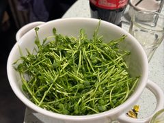 -烹然四季椰子鸡火锅(团结湖总店)