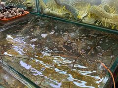 -班赞海鲜市场