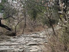 -阳台山自然风景区