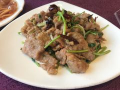 辣牛肉-燕春楼(海河华鼎店)