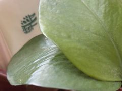 -天津海河悦榕庄·Lobby Lounge大堂吧