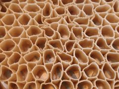 -蔡家酒楼(一德街店)