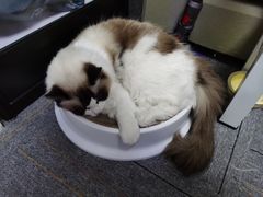 -零纪元VR体验馆·桌游(黄浦店)