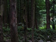 -山王坪喀斯特国家生态公园