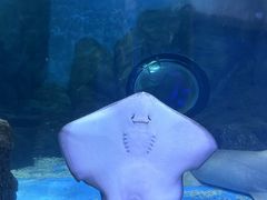 -常州海昌海洋探索馆