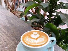 -豆舞咖啡(民乐路店)