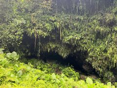 -海口火山口国家地质公园