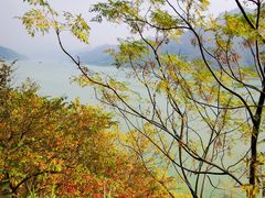 -羚羊峡古栈道森林公园
