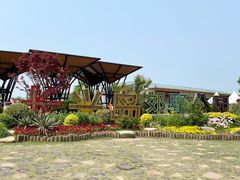 -上海长兴岛郊野公园