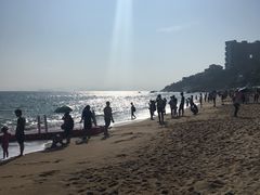 -玫瑰海岸文化旅游度假区