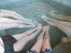 -咸宁万豪温泉谷度假区