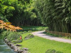 -杭州植物园