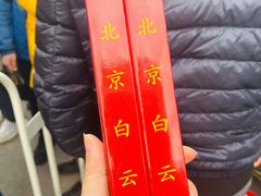 -白云观