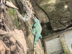 -广州长隆飞鸟乐园