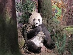 -湖南省地质博物馆