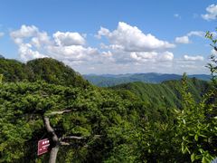 -王顺山国家森林公园
