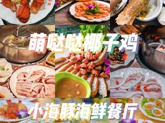 -亚龙湾热带天堂森林公园