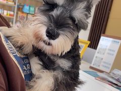 -德元·美联众合24小时动物医院(总院)