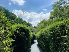 -大屏嶂森林公园