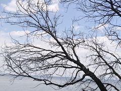-抚仙湖禄充风景区