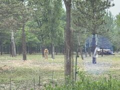 -秦皇岛野生动物园