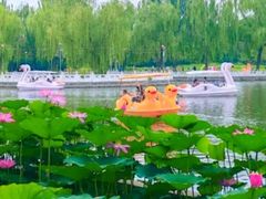 -丰台花园