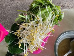 -霞姐屯昌枫木香草鸭店(海螺店)