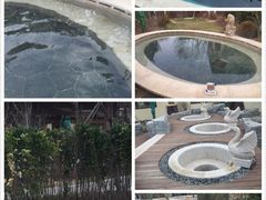 -大连金石滩绿发温泉假日酒店